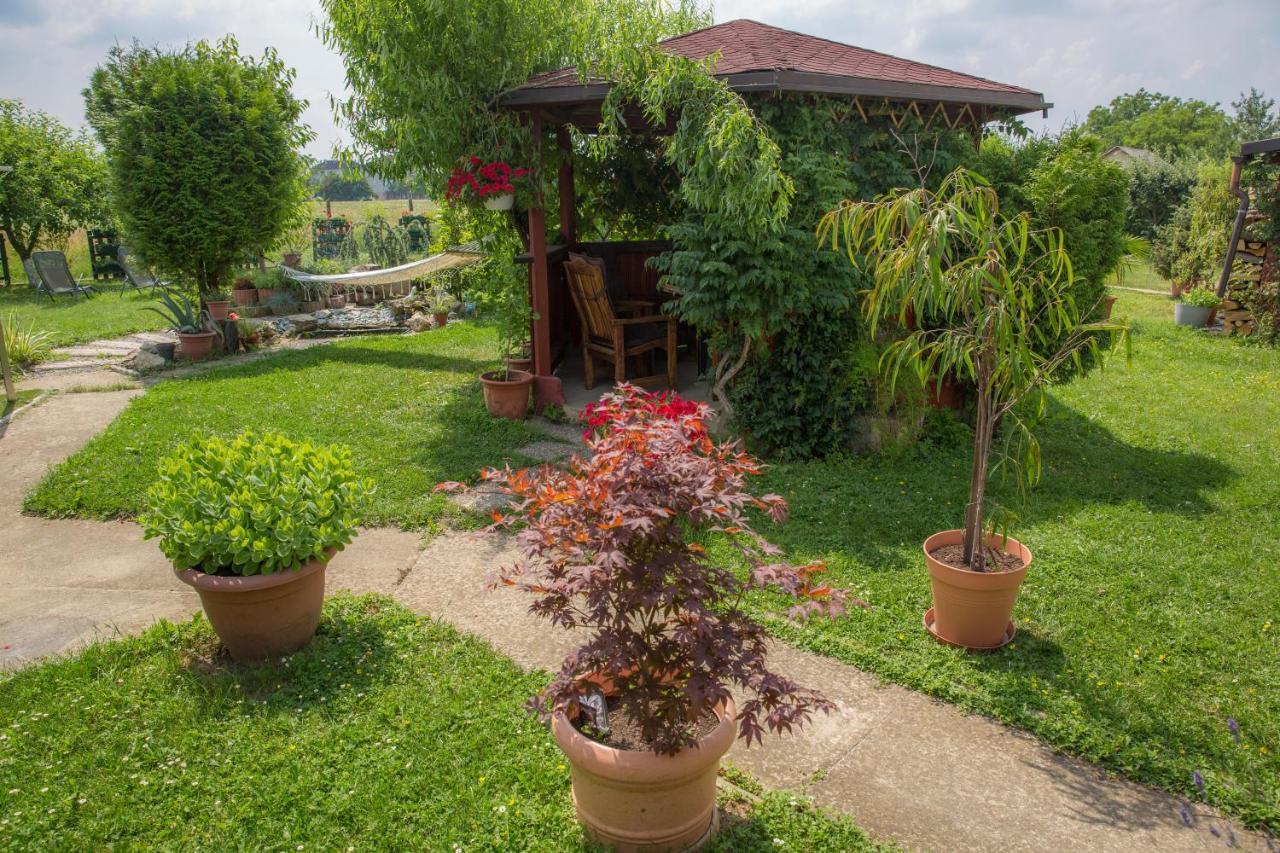 B&B Tara Garden Velika Gorica Extérieur photo